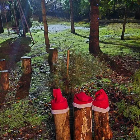 Flamignano Relax E Natura Holiday home