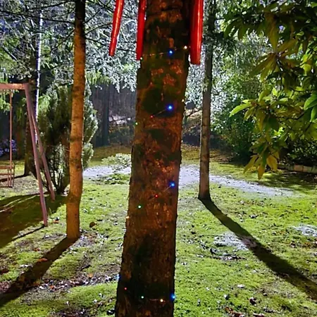 Holiday home Flamignano Relax E Natura