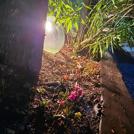 Flamignano Relax E Natura *