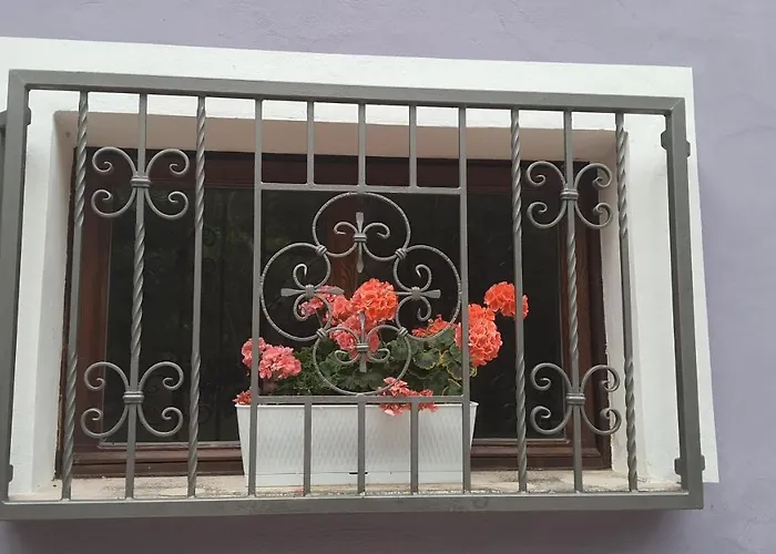 Flamignano Relax E Natura Tatil Evi *