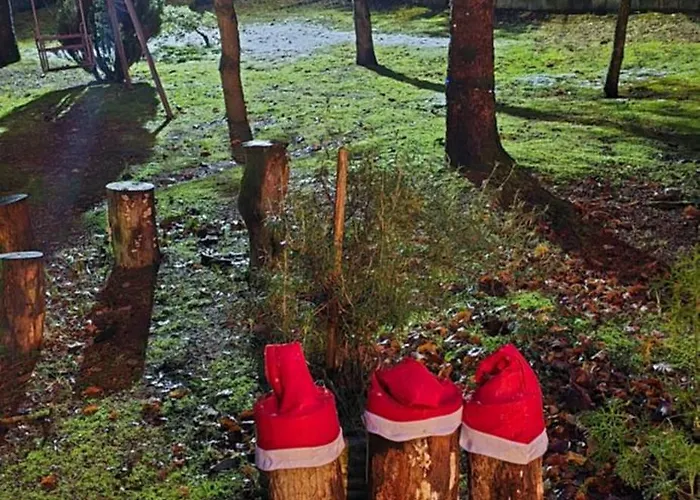 Flamignano Relax E Natura Dom wakacyjny