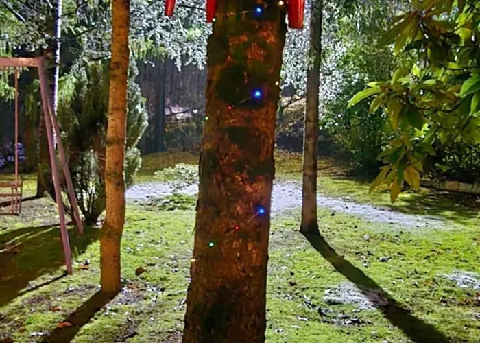 Dom wakacyjny Flamignano Relax E Natura