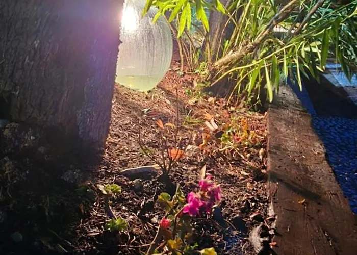 Flamignano Relax E Natura *