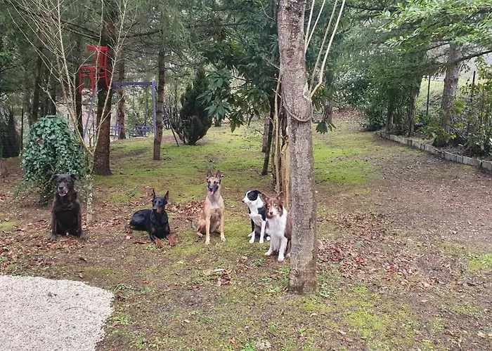 Tatil Evi Flamignano Relax E Natura *